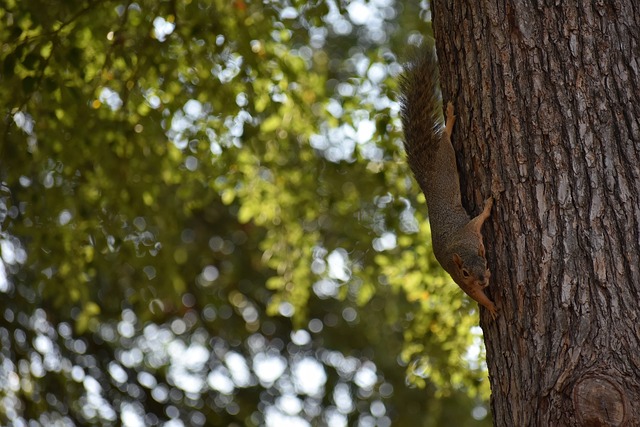 反击战术本 反击战术本