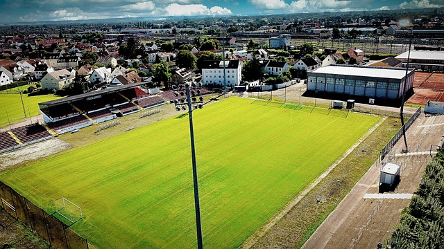 南野拓实和 南野拓实和