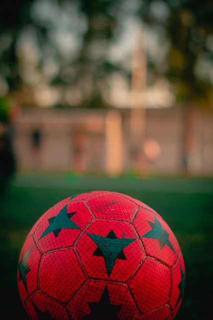 天赋状元的 天赋状元的