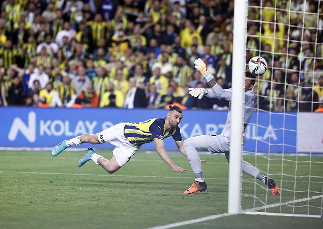 像里夫斯这 像里夫斯这