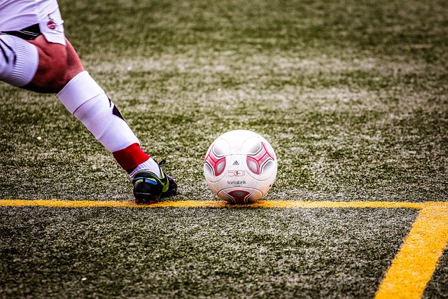 哈雷尔自加 哈雷尔自加