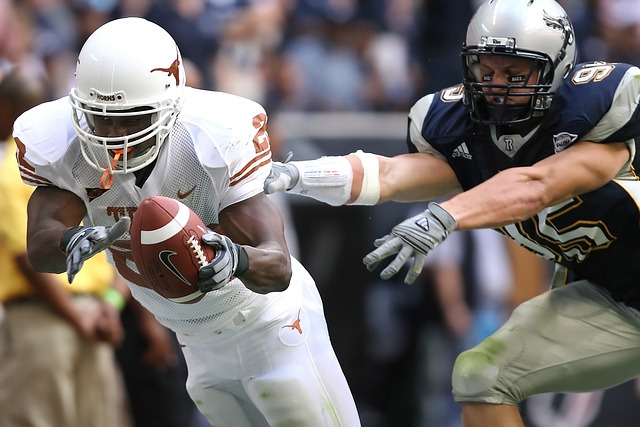 杰出个体 杰出个体